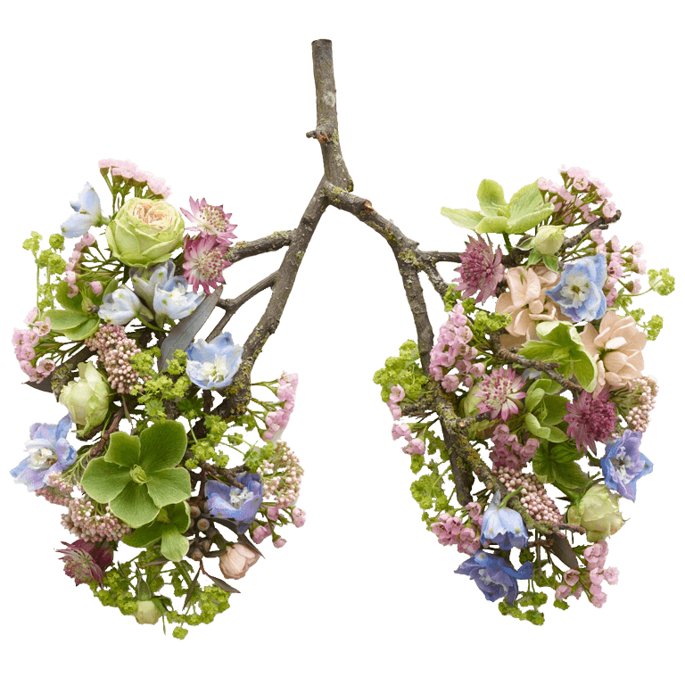 Floral representation of lungs